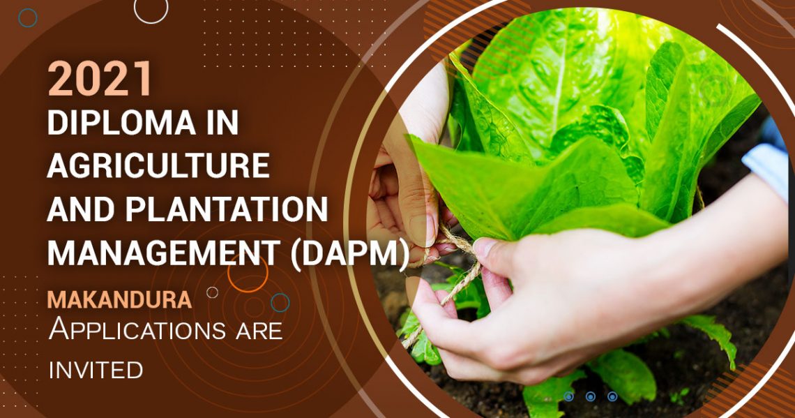 Apply Now for DAPM Your Pathway to Get a UGC Recognised Agriculture