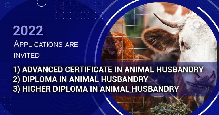 Applications are invited for Advance Certificate, Diploma, and Higher  Diploma in Animal Husbandry – Wayamba University of Sri Lanka